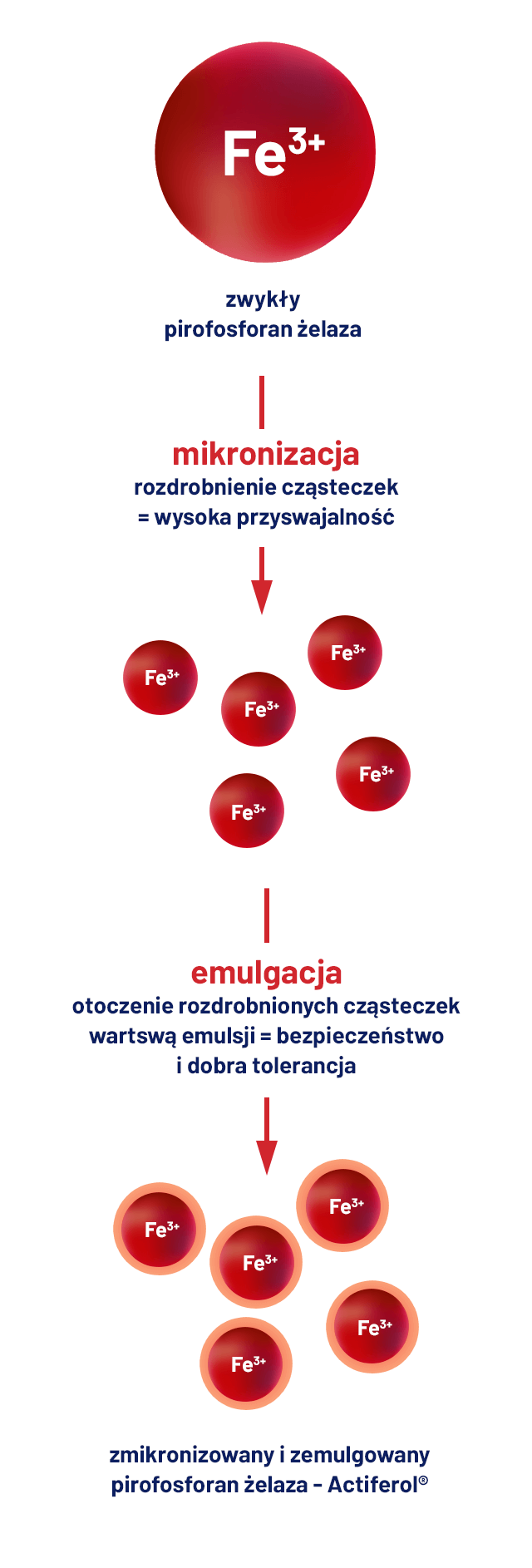 zalety actiferol