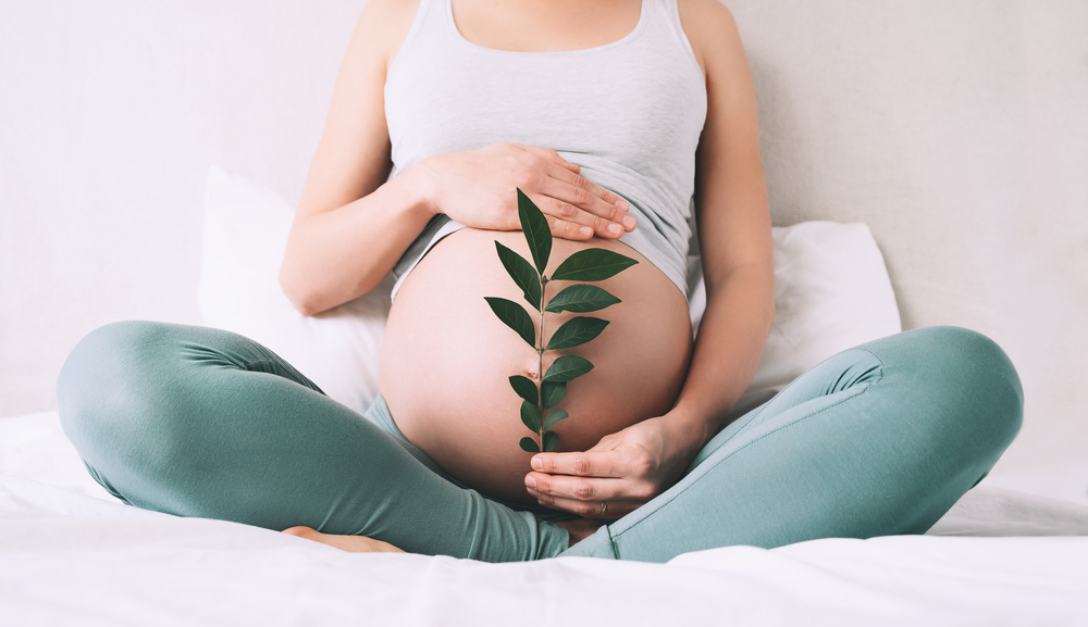 Suplementacja żelaza w ciąży – czy jest konieczna?