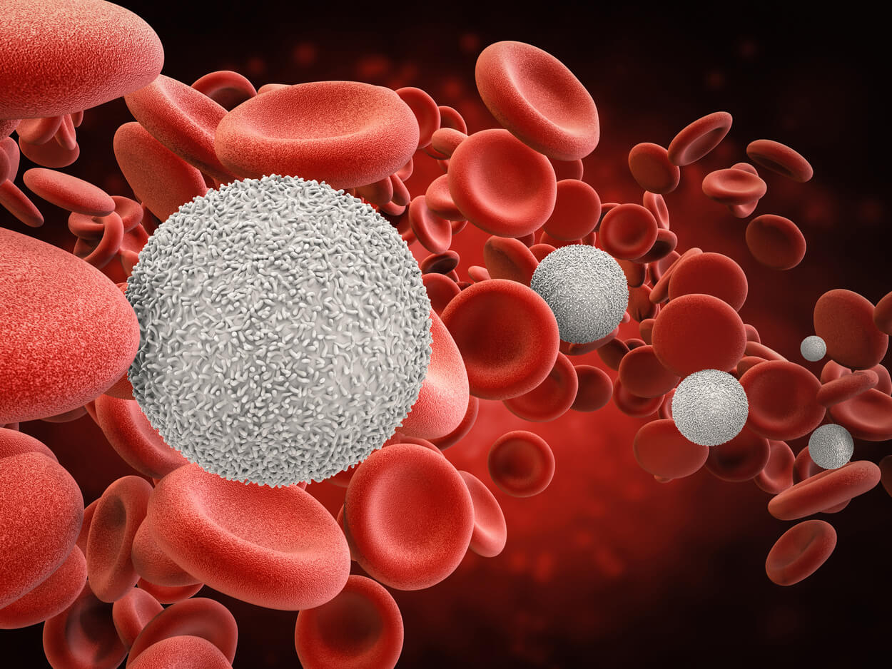 Za co są odpowiedzialne krwinki białe w naszym organizmie?
